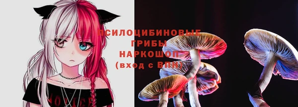 тгк Абинск