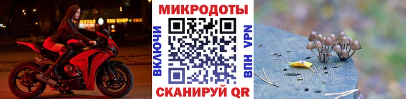 Псилоцибиновые грибы Psilocybine cubensis  Химки 