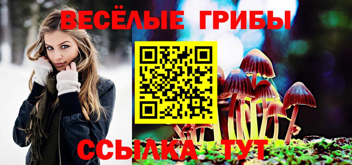 Псилоцибиновые грибы прущие грибы Химки