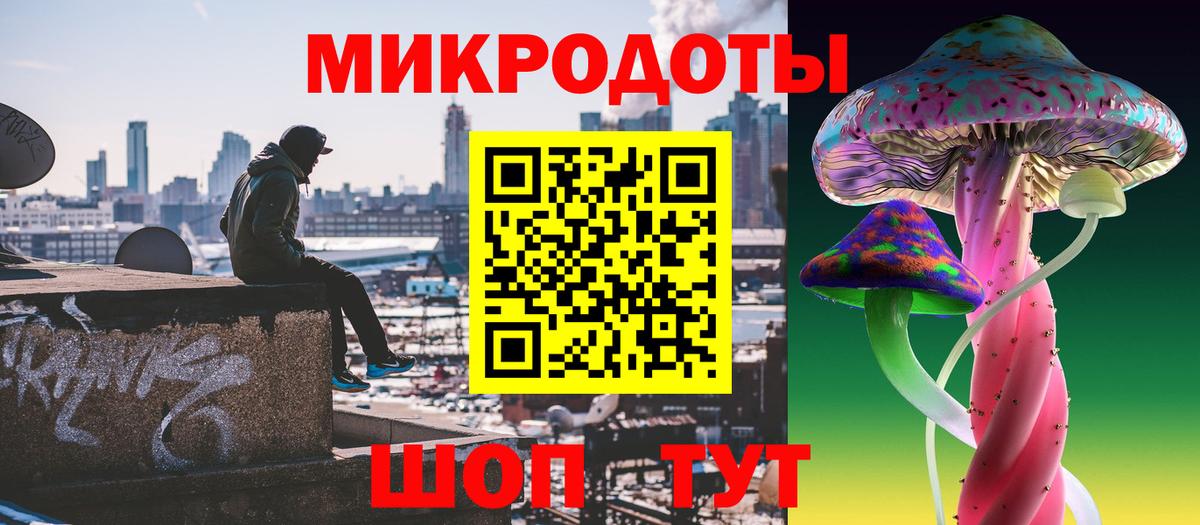 Псилоцибиновые грибы Cubensis  Вход с VPN  Химки 